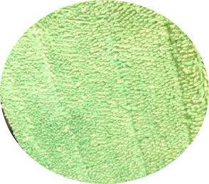 Πράσινο στριμμένο 13*47 πτυχών κεφάλι μαξιλαριών σφουγγαριστρών βελονιών microfiber υγρό καθαρίζοντας