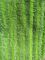 Πράσινα στριμμένα πτυχών της Οξφόρδης υφάσματος τσεπών μαξιλάρια 14*48 Mop Microfiber υγρά